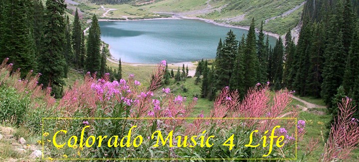 Mountain Scene Cello  wildflowers Lynds